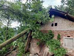 2 Rumah Rusak, 4 Terancam Ambruk Akibat Longsor di Desa Tarisi