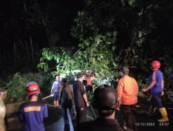 Cuaca Ekstrim, Tebing Setinggi 5 Meter Longsor di Sukabumi