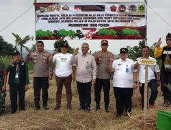 Bareng Camat, Karo SDM dan Kepala SPN PMJ Tanam Sejuta Pohon