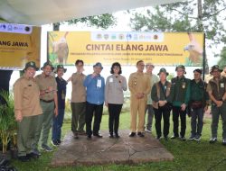 Kabupaten Bogor Jadi Habitat Sepasang Elang Jawa Jelita dan Parama