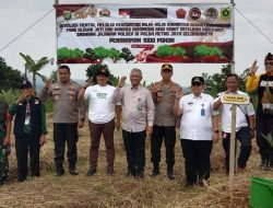 Camat Cigombong Dampingi Karo SDM Dan KSPN Polda Metro Jaya Tanam sejuta Pohon