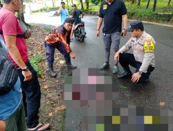 Keji !!! Bocah Di Palabuhanratu Dibacok OTK