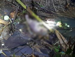 Penemuan Jasad Bayi Perempuan, Menghebohkan Desa Bojongkerta