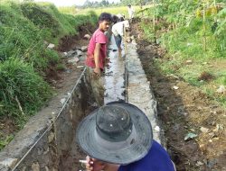 Tingkatkan Hasil Panen Petani, Pemerintah Bangun Saluran Daerah Irigasi Panjunan Desa Tanjung Sari Dengan Program P3 GTAI