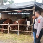 Bhabinkamtibmas Polsek Cisaat himbau warga Waspada Pencurian Ternak Menjelang Hari Raya Idul Adha