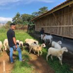 Desa Sukamaju Kecamatan Cibungbulang Wujudkan Data Desa Presisi