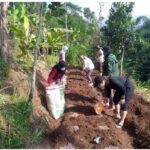 Antisipasi Dampak Kekeringan Pada Sektor Peternakan dan Perikanan Pemkab Bogor Lakukan Langkah Ini