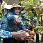 10 Pokok Program PKK Di Kelurahan Padasuka, Di Rechecking Langsung Oleh PKK Kabupaten Bogor