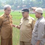 Pemkab Bogor Tangani Dampak Kekeringan Sektor Pertanian Melalui Pemberian AUTP