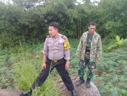 Bhabinkamtibmas Polsek Cisaat dan Babinsa lakukan Patroli Bersama jaga wilayah