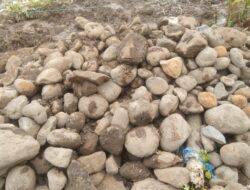 Diduga Kurangi Biaya Pelaksana Proyek Irigasi Manfaatkan Batu dari Kali