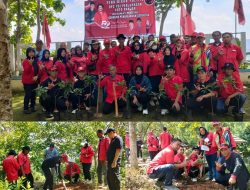 DPC PDIP Kota Banjar Tanam 1.000 Pohon di Puncak Bukit Pejamben, Wujud Cinta pada Bumi Pertiwi