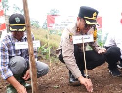 Kapolres Banjar Bersama Dinas Pertanian dan Mahasiswa Tanam Benih Jagung di Batulawang