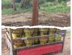 Diberi Izin Pegawai Pertamina, Agen LPG Transit di Lokasi Tak Semestinya