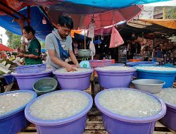 Kolang-Kaling, Primadona di Bulan Ramadhan: Pedagang Raup Keuntungan Berlipat