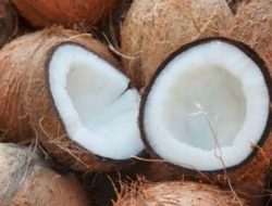 Pertengahan Ramadhan Harga Kelapa Parut Melonjak Pedagang dan Konsumen kewalahan