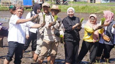 Garut Perkuat Ketahanan Pangan Lewat Gerakan Tanam Padi Serentak