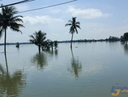Ratusan Hektar Sawah di Pangandaran Terendam Banjir Akibat Debit Sungai Citanduy Meluap