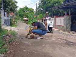 Warga Dusun Cipariuk Tanam Pohon Pisang di Jalan Rusak sebagai Aksi Protes