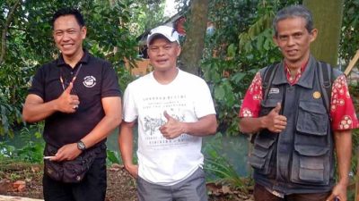 Dukung Peternakan Di Wilayahnya, Tedi Salurkan Dana Aspirasi Program Pembesaran Dorper