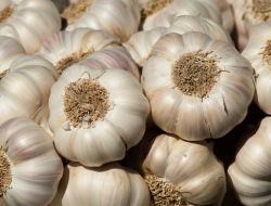 Penderita Asam Lambung Tidak Boleh Makan Sayuran Ini! Kenapa Demikian ?