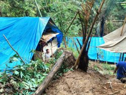 Viral!!! Mencuri di Tanah Sendiri, DLH Sukabumi Jelaskan Batas Kepemilikan dan Hukum Tambang