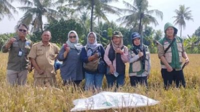 Benih Lokal Siap Tebar, DKP3 Kota Banjar Pastikan Kebutuhan Petani Terpenuhi