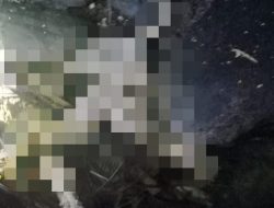 Mayat Pria Tanpa Kepala Ditemukan di Sungai Ciracap Sukabumi