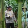 Bukan Sekadar Bantuan Dana, Polda Jabar Ajari Teknik “Culik Tanam” ke Petani di Banjar