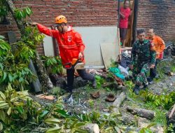 Hujan Disertai Angin Kencang, Rumah Warga Mekarharja Rusak Tertimpa Pohon