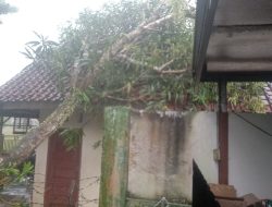 Cuaca Ekstrem Landa Kota Banjar, Banjir dan Pohon Tumbang Terjadi di Sejumlah Wilayah