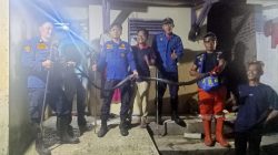 Ular King Cobra 2 Meter Gegerkan Warga, Respons Cepat Damkar Banjar Jadi Kunci Penanganan