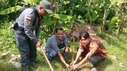 Hari Lahir Pancasila Jadi Momentum Penghijauan, Pemuda Pancasila dan Warga Binangun Tanam 1.000 Pohon