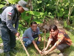 Hari Lahir Pancasila Jadi Momentum Penghijauan, Pemuda Pancasila dan Warga Binangun Tanam 1.000 Pohon