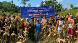 Kapolres Banjar Hadiri Temu Lapang dan Panen Raya Jagung di Pataruman, Dukung Swasembada Pangan 2026