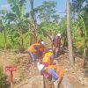 Pembangunan Irigasi D.I Citugu 1 Rampung.Petani Rasakan Manfaat Langsung