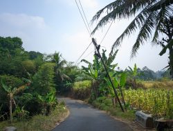Nyaris Roboh ke Jalan, Tiga Tiang Internet Ancam Nyawa Pengendara di Nagrak